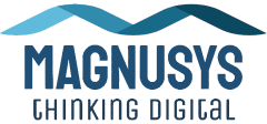 Magnusys Technology Services